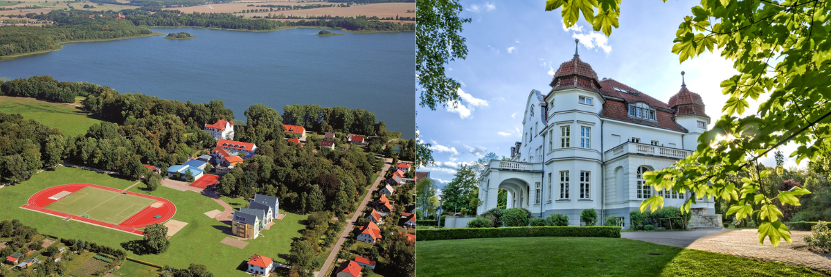 Schloss Torgelow privates Internatsgymnasium logo